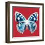 Scarlet Red Pop Butterfly-Christine Caldwell-Framed Art Print