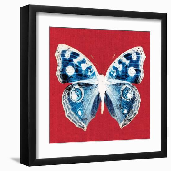 Scarlet Red Pop Butterfly-Christine Caldwell-Framed Art Print