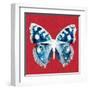 Scarlet Red Pop Butterfly-Christine Caldwell-Framed Art Print