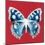 Scarlet Red Pop Butterfly-Christine Caldwell-Mounted Art Print