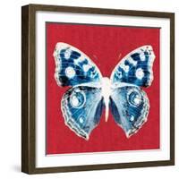 Scarlet Red Pop Butterfly-Christine Caldwell-Framed Art Print