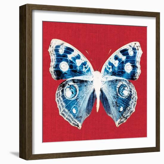 Scarlet Red Pop Butterfly-Christine Caldwell-Framed Art Print