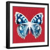 Scarlet Red Pop Butterfly-Christine Caldwell-Framed Art Print