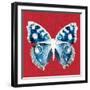 Scarlet Red Pop Butterfly-Christine Caldwell-Framed Art Print