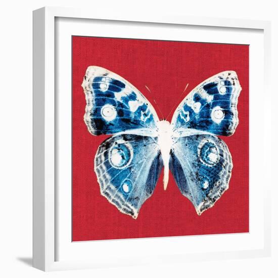 Scarlet Red Pop Butterfly-Christine Caldwell-Framed Art Print