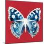 Scarlet Red Pop Butterfly-Christine Caldwell-Mounted Art Print