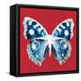 Scarlet Red Pop Butterfly-Christine Caldwell-Framed Stretched Canvas