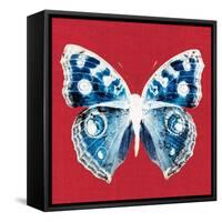 Scarlet Red Pop Butterfly-Christine Caldwell-Framed Stretched Canvas