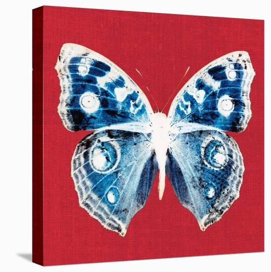 Scarlet Red Pop Butterfly-Christine Caldwell-Stretched Canvas