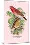 Scarlet Rose-Finch-Arthur G. Butler-Mounted Art Print