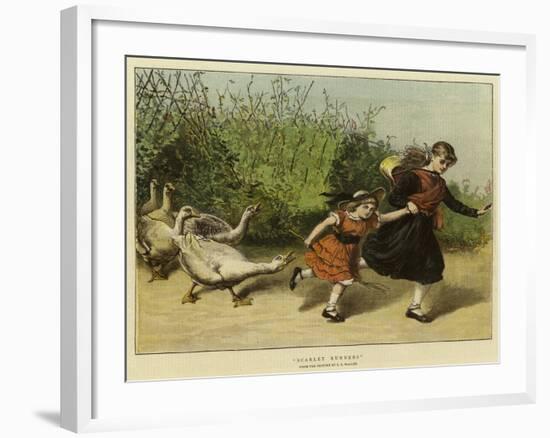 Scarlet Runners-Samuel Edmund Waller-Framed Giclee Print