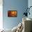 Scarlet Silhouette-Edward Aparicio-Framed Stretched Canvas displayed on a wall
