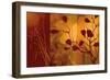 Scarlet Silhouette-Edward Aparicio-Framed Art Print