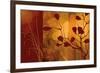 Scarlet Silhouette-Edward Aparicio-Framed Premium Giclee Print