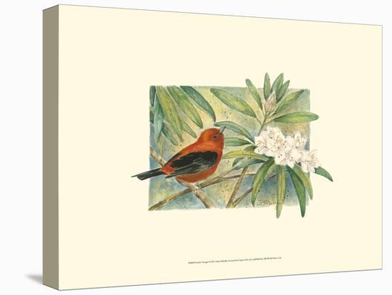 Scarlet Tanager-Janet Mandel-Stretched Canvas