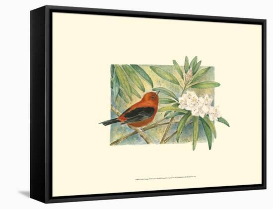 Scarlet Tanager-Janet Mandel-Framed Stretched Canvas