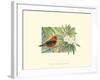 Scarlet Tanager-Janet Mandel-Framed Art Print