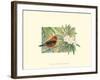 Scarlet Tanager-Janet Mandel-Framed Art Print