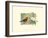 Scarlet Tanager-Janet Mandel-Framed Art Print