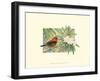 Scarlet Tanager-Janet Mandel-Framed Art Print