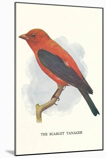 Scarlet Tanager-null-Mounted Premium Giclee Print