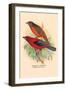 Scarlet Tanager-Arthur G. Butler-Framed Art Print