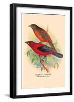 Scarlet Tanager-Arthur G. Butler-Framed Art Print