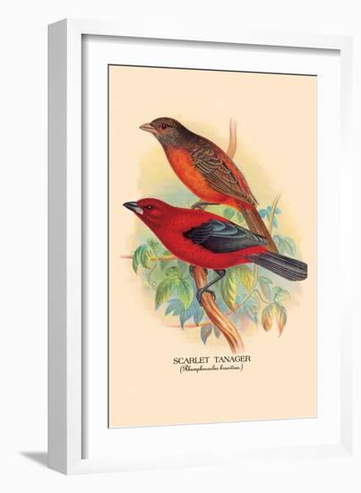 Scarlet Tanager-Arthur G. Butler-Framed Art Print