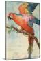 Scarlett Macaw-null-Mounted Art Print