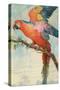 Scarlett Macaw-null-Stretched Canvas