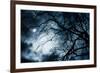 Scary Dark Scenery with Naked Trees, Full Moon and Clouds-pashabo-Framed Photographic Print