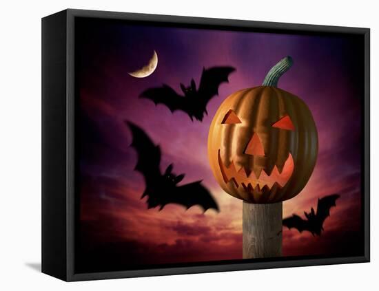 Scary Pumpkin and Bats-Matthias Kulka-Framed Stretched Canvas