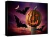 Scary Pumpkin and Bats-Matthias Kulka-Stretched Canvas