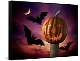 Scary Pumpkin and Bats-Matthias Kulka-Framed Stretched Canvas