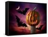 Scary Pumpkin and Bats-Matthias Kulka-Framed Stretched Canvas