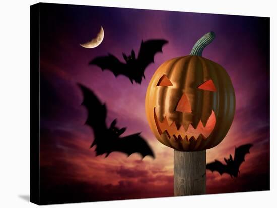 Scary Pumpkin and Bats-Matthias Kulka-Stretched Canvas