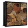 Scattered Leaves I-Patricia Pinto-Framed Stretched Canvas
