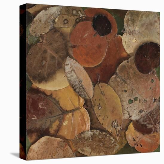 Scattered Leaves I-Patricia Pinto-Stretched Canvas