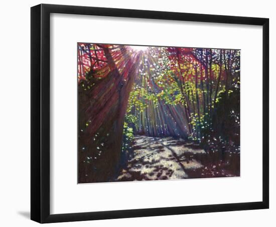 Scattered light, 2013,-Helen White-Framed Giclee Print