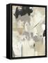 Scattered Remnants I-Tim OToole-Framed Stretched Canvas