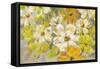 Scattered Spring Petals-Silvia Vassileva-Framed Stretched Canvas