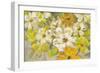 Scattered Spring Petals-Silvia Vassileva-Framed Art Print