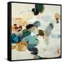 Scattered Stones-Randy Hibberd-Framed Stretched Canvas