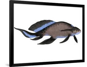 Scaumenacia Is an Extinct Genus of Lobe-Finned Fish-null-Framed Art Print