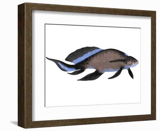 Scaumenacia Is an Extinct Genus of Lobe-Finned Fish-null-Framed Art Print