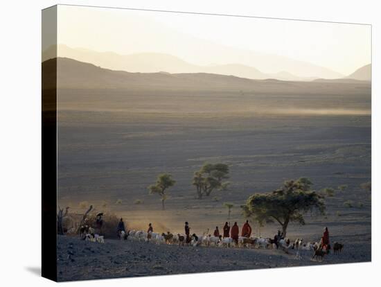 Scene at a Maasai Manyatta, or Homestead, at Dawn in an Arid Part of Northern Tanzania-Nigel Pavitt-Stretched Canvas