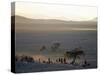 Scene at a Maasai Manyatta, or Homestead, at Dawn in an Arid Part of Northern Tanzania-Nigel Pavitt-Stretched Canvas