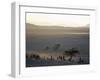 Scene at a Maasai Manyatta, or Homestead, at Dawn in an Arid Part of Northern Tanzania-Nigel Pavitt-Framed Photographic Print