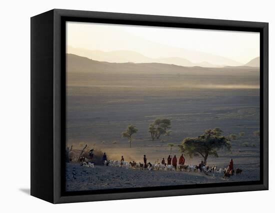 Scene at a Maasai Manyatta, or Homestead, at Dawn in an Arid Part of Northern Tanzania-Nigel Pavitt-Framed Stretched Canvas