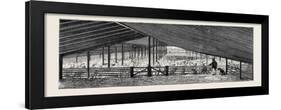 Scene at an Australian Sheep Station-null-Framed Giclee Print